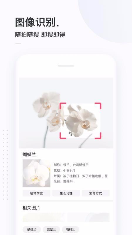 简单搜索app下载,简单搜索手机版