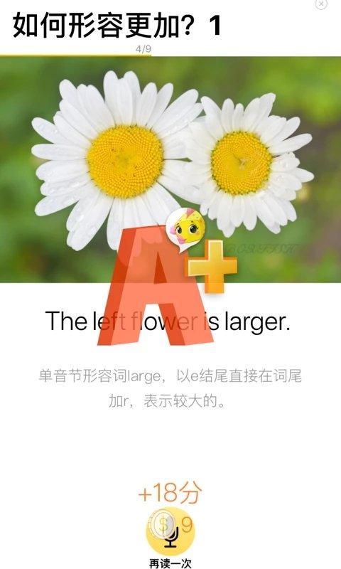 boxfish盒子鱼英语app下载,盒子鱼,学习app,英语app